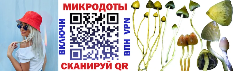 Купить  Яровое  Галлюциногенные грибы мухоморы 